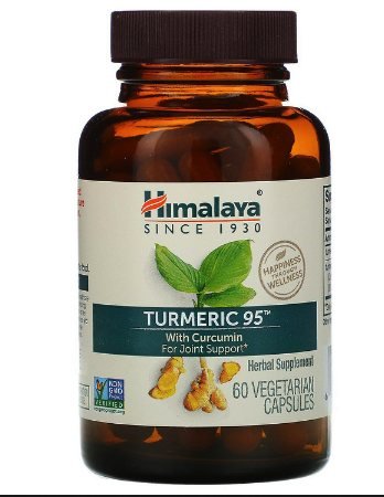 Turmeric 95 60 caps Organic