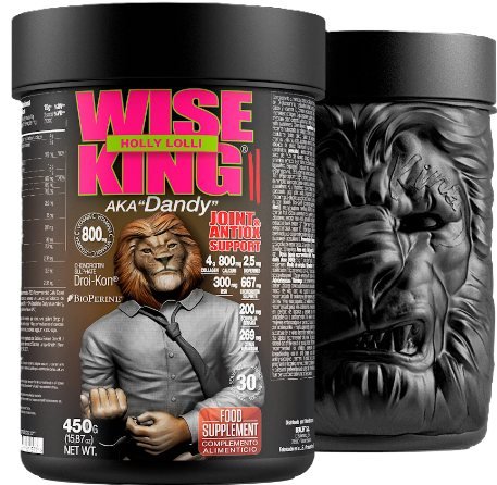Wiseking II 450 gr Joint Support Holy Lolli